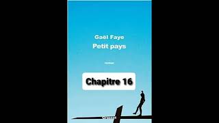 16  Petit Pays  Gael Faye  aide à la lecture  Chapitre 16 [upl. by Avehstab]