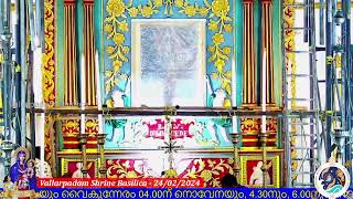 24 FEBRUARY 2024  0630AM  LIVE HOLY MASS  വിശുദ്ധ കുർബാന  VALLARPADAM SHRINE BASILICA [upl. by Veedis]