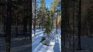 Videovisning Älvdalen Särnabyn 5816 [upl. by Meekah]