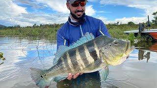 Tucunaré azul gigante na hélice Lago de Serra da Mesa [upl. by Esiocnarf]