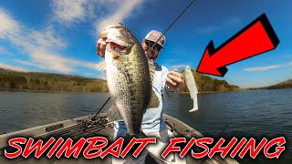 Swimbait Fishing Is Easy Magdraft SlugFest [upl. by Ali]