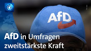 ARDDeutschlandTrend Ampelkoalition ohne Mehrheit AfD zweitstärkste Kraft [upl. by Allmon838]