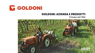 La storia della Goldoni 1986 [upl. by Swigart]