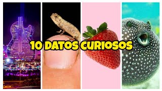 10 Datos Curiosos QUE NO CONOCÍAS 02 [upl. by Thevenot]