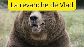 🃏 tirage 217 la revanche de Vlad [upl. by Ruckman]