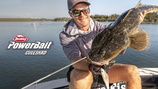 Berkley PowerBait CullShad  The Hunt For Flathead [upl. by Tillion824]