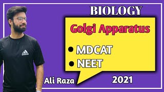 Golgi Apparatus Structure And Functions  NMDCAT 2021 [upl. by Sommers49]