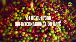 01 de Outubro Dia Internacional do Café [upl. by Nossyla]