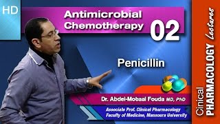 Antimicrobial chemotherapy Ar  02  Penicillin [upl. by Ttennaj]