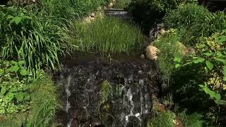 2 hours nature sounds  water stream and gentle birdsong  Nature sounds for sleepingstress relief [upl. by O'Gowan]