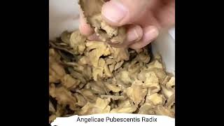 bulk high quality radix angelicae tuhuo natural dried Angelicae Pubescentis Radix herbalrcom [upl. by Duvall]