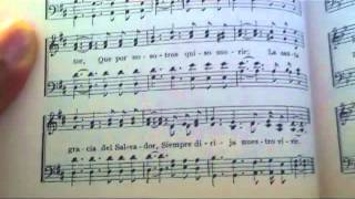 Dulce Consuelo Blessed Assurance Hymn in Spanish [upl. by Anel]