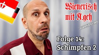 Wienerisch mit Ageh Wirklich  Folge 14 Schimpfen 2 [upl. by Heman446]