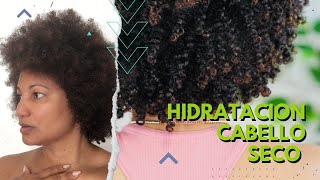 Mascarilla de maizena y linaza para el cabello afro seco  hidratación intensa para el pelo afro se [upl. by Aivyls]