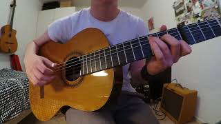 Damien Rice  The Blowers Daughter  Fingerstyle Guitar Cover [upl. by Okimik418]