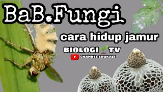 BaBFungi  cara hidup jamur  materi biologi sma semester kelas 10 mipa  BABJamur [upl. by Stroud]