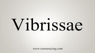 How To Say Vibrissae [upl. by Llyrat]