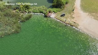 A thousand dead fish found floating and washed ashore in Calavares Lake [upl. by Assirk120]