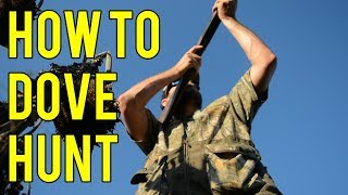 How To Dove Hunt [upl. by Ennoval]