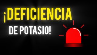 3 Síntomas de FALTA de POTASIO  Señales de DEFICIENCIA de POTASIO [upl. by Arrahs]