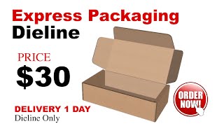 Express Packaging Dieline [upl. by Ayat445]