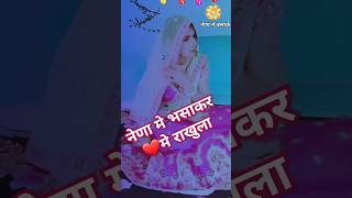 नेणा मे भसाकर ❤️मे माई राखुला गौरी😆⭐ Rajstani Short Viarl Video [upl. by Rehpoitsirhc235]