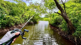 Pescando Hermoso Lago Inundado en México [upl. by Uok]