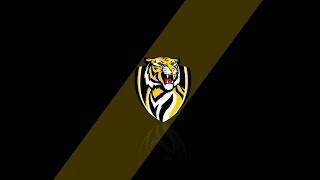 2017 AFL GRAND FINAL PREVIEW  Richmond Tigers [upl. by Bee]