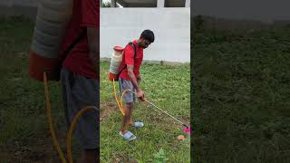 Kalupu mokkaltho kalupu mokkanii champadham yelaa weedicide trendingshorts viralshort [upl. by Beverlie]