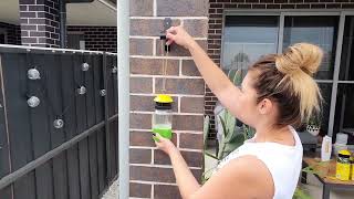 EnviroSafe Australian Made Fly Trap [upl. by Raddie]