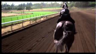 Man captivates horses with native flute [upl. by Goeger]