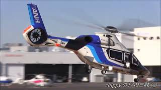 AIRBUS H160 cn1004 mass production first plane Takeoff ANHAll Nippon Helicopter JA01NH [upl. by Wilterdink]