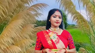 Aigiri Nandini Dance Video 💃❤️🥰🙏durgapujadance durgapuja [upl. by Alcinia62]