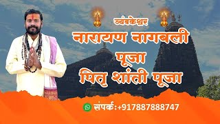 Narayan Nagbali Puja Trimbakeshwar  Pitra Dosh Pooja [upl. by Yrffej]