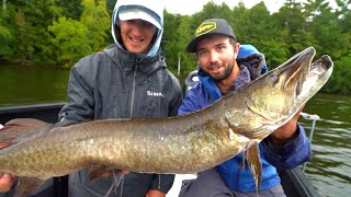 TROPHY MUSKY Fishing In Early Fall [upl. by Gaskill]