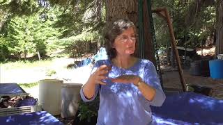 DIY Humic Acid with Dr Elaine Ingham  The Advanced Permaculture Student Online [upl. by Enilarak]