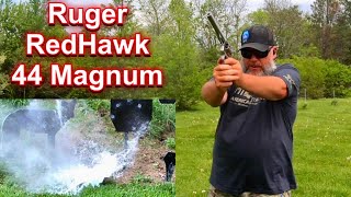 Ruger RedHawk 44 Magnum with a 75” Barrel  First Range Day [upl. by Dorelle]