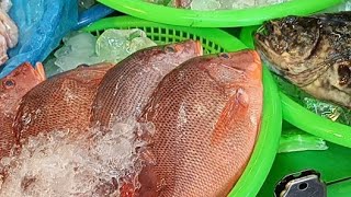 Taiwan Kaohsiung seafood auction live stream [upl. by Sheaff]