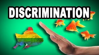 Learn English Words  DISCRIMINATION  Meaning Vocabulary with Pictures and Examples [upl. by Matthew]