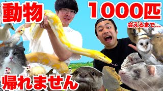 動物１０００匹に会えるまで帰れませんやったら動物園みたいな自宅に訪問できた！？ [upl. by Kleon]