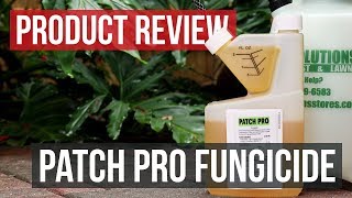 Patch Pro Fungicide Product Review [upl. by Donnenfeld]