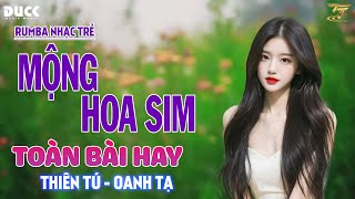 🔴 MỘNG HOA SIM THƯƠNG LY BIỆT  RUMBA NHẠC TRẺ THIÊN TÚ x OANH TẠ HAY NHẤT 2024 [upl. by Renell419]