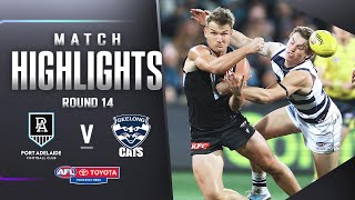 Port Adelaide v Geelong Cats Highlights  Round 14 2023  AFL [upl. by Anidualc]