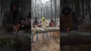 Stihl 500i vs Stihl 400c vs Stihl 291 stihl chainsawman chainsaw cuttingwood madeingermany [upl. by Kirk430]