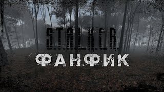 Аудио Творчество  Сталкер Фанфик 1 [upl. by Ilhsa282]