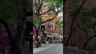 New York Tour SoHo New York soho nyc newyorkwalker travelnyc nycvisit [upl. by Ametaf]