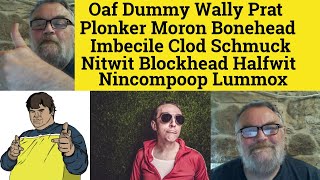 🔵Vivid Nouns Idiot  Oaf Dummy Wally Prat Plonker Moron Imbecile Clod Nitwit Halfwit Lummox Meaning [upl. by Initirb986]