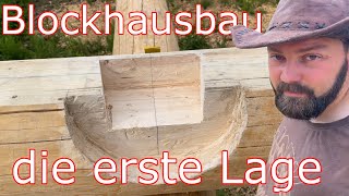 Blockhausbaudie erste Stammlage [upl. by Helga]