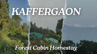 Kaffergaon  Forest Cabin Homestay  Offbeat Kalimpong [upl. by Noivax]