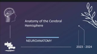 Anatomy of the Cerebral Hemisphere Neuroanatomy Lec 5 part 2 [upl. by Attenwahs]